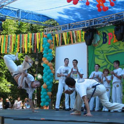 karneval 2008